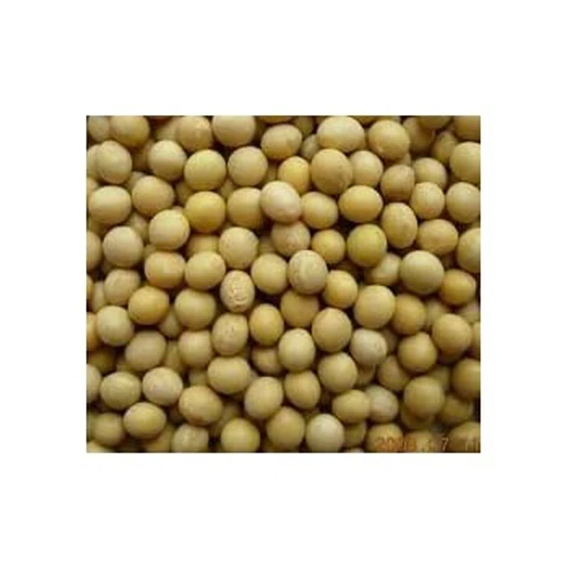 Wholesale Organic Nongmo Soyabean Yellow Soybean Soja Soya Beans Buy