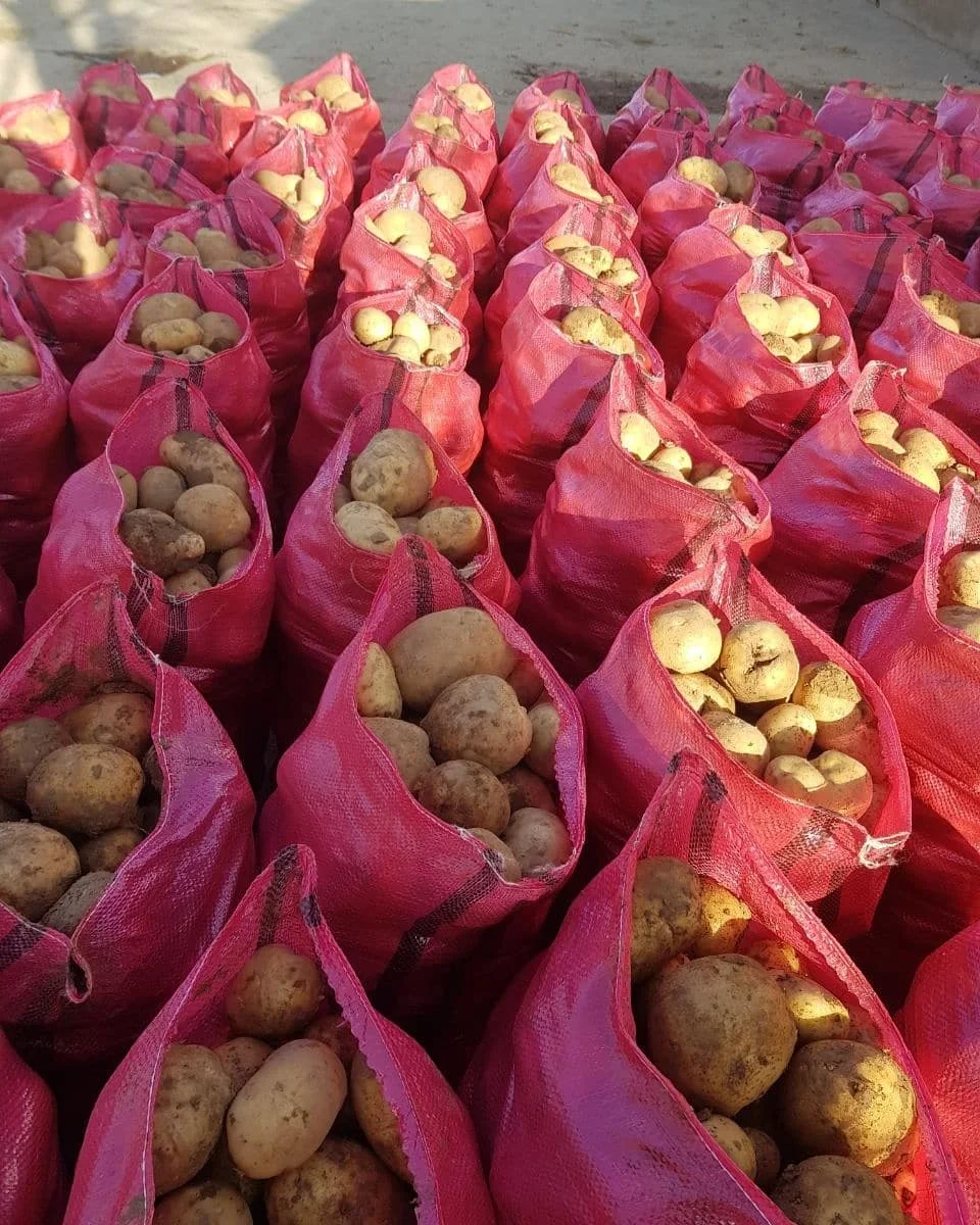 potatoes  (55).jpg