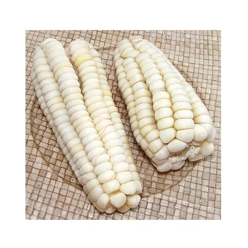 White Maize