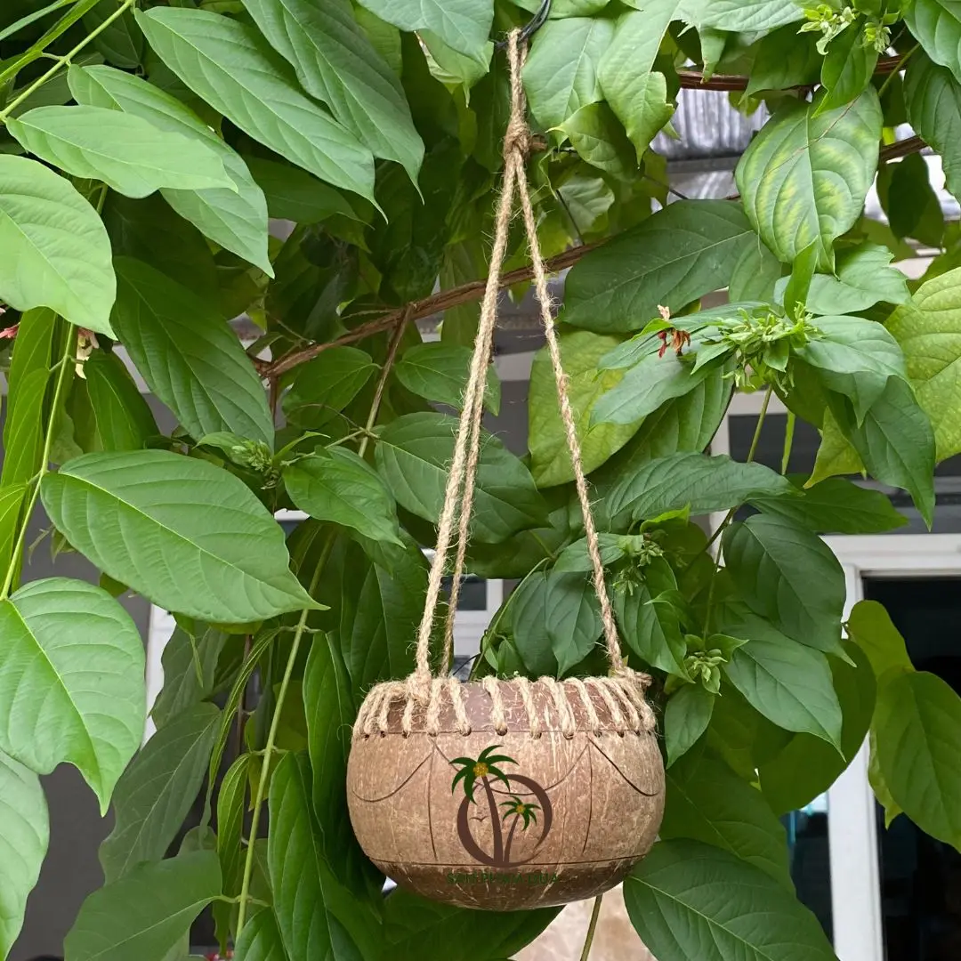 Natural Handmade Coconut Shell Pot Micro-Green Seed Planter with Hanging Feature for Garden Use