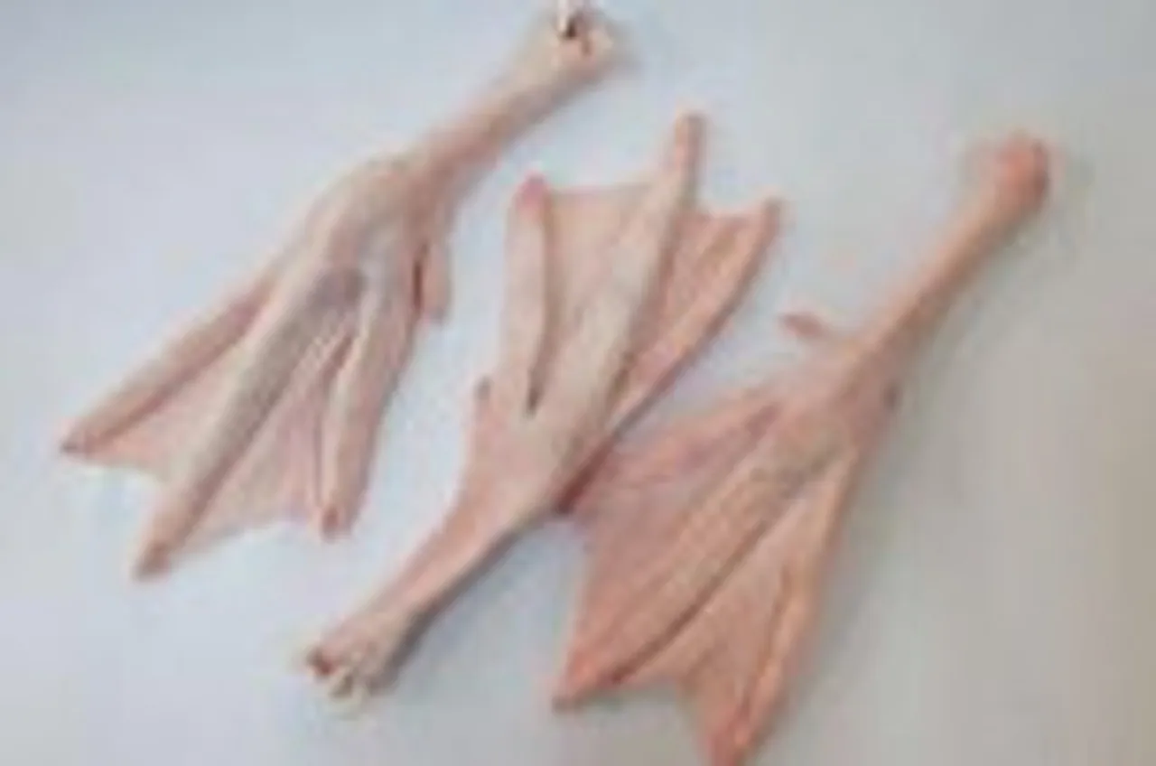 Высококачественные Замороженные утиные лапки/утиная лапа/утиные ножки по низкой цене на