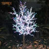 Albero di ciliegio bianco (H:2,5 L:1,8M)
