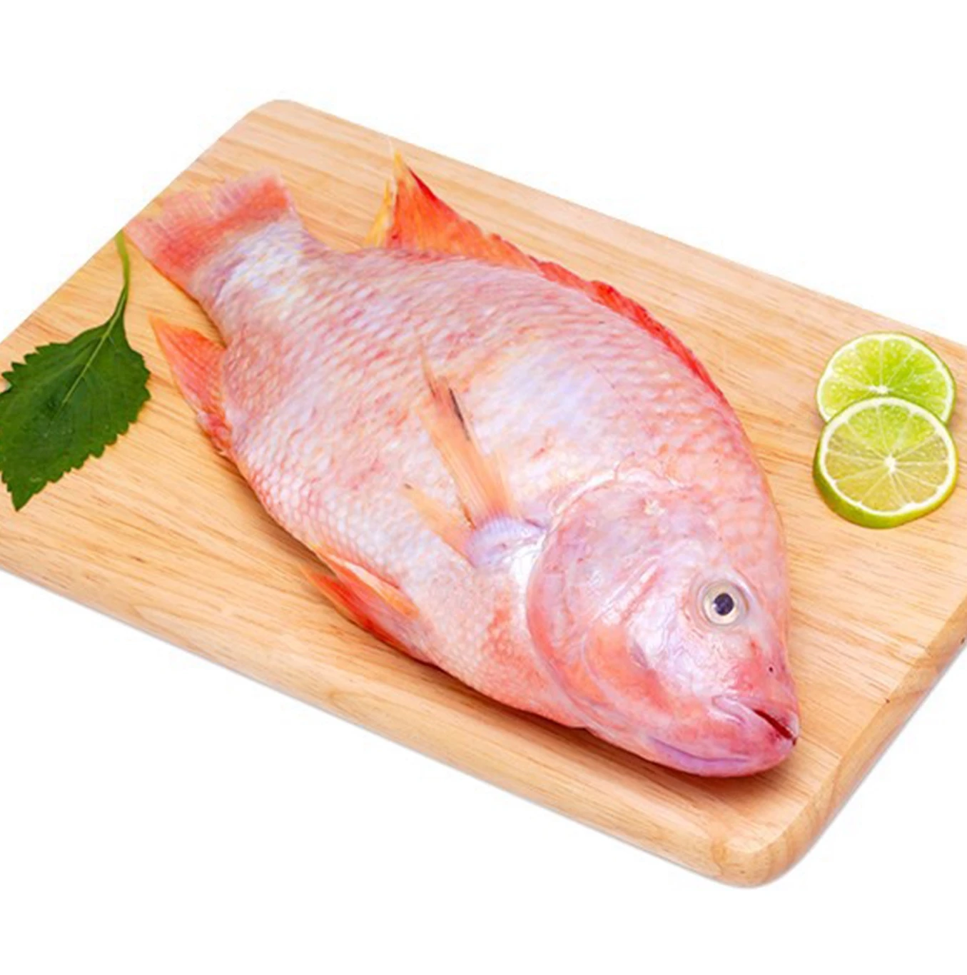 Best Seafood Frozen Fish Tilapia Fish Fillet With Cheap Price New Season Hot Selling Tilapia