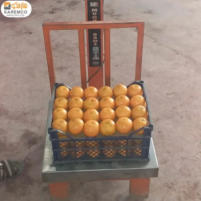 Fresh Mandarin Orange 2022 Chinese Mandarin Orange With Cheap Price And Top Quality Supplier