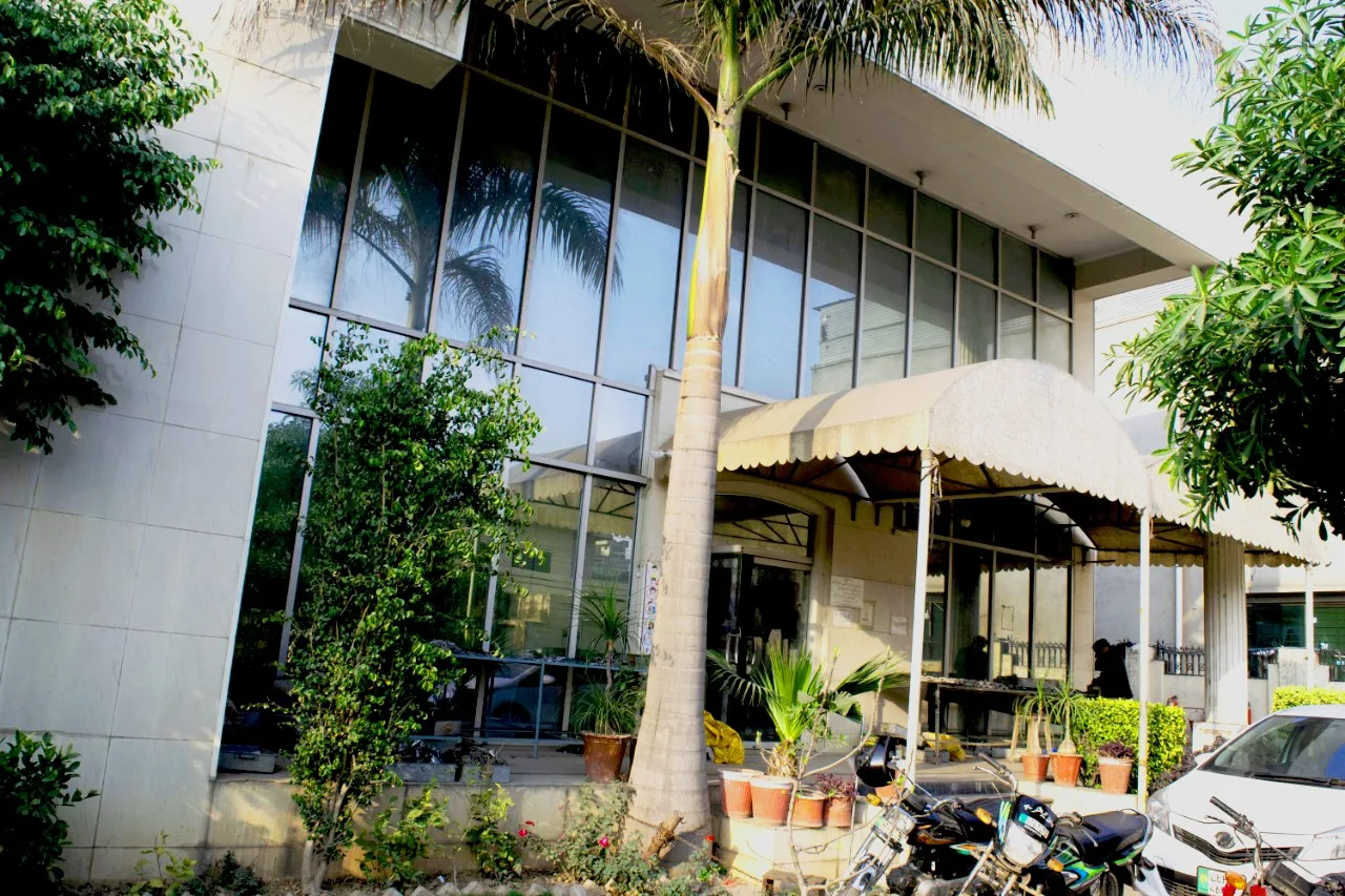 Latest 2023 Model Rex Black Bjj Gi Jiujitsu Martial Art Uniform