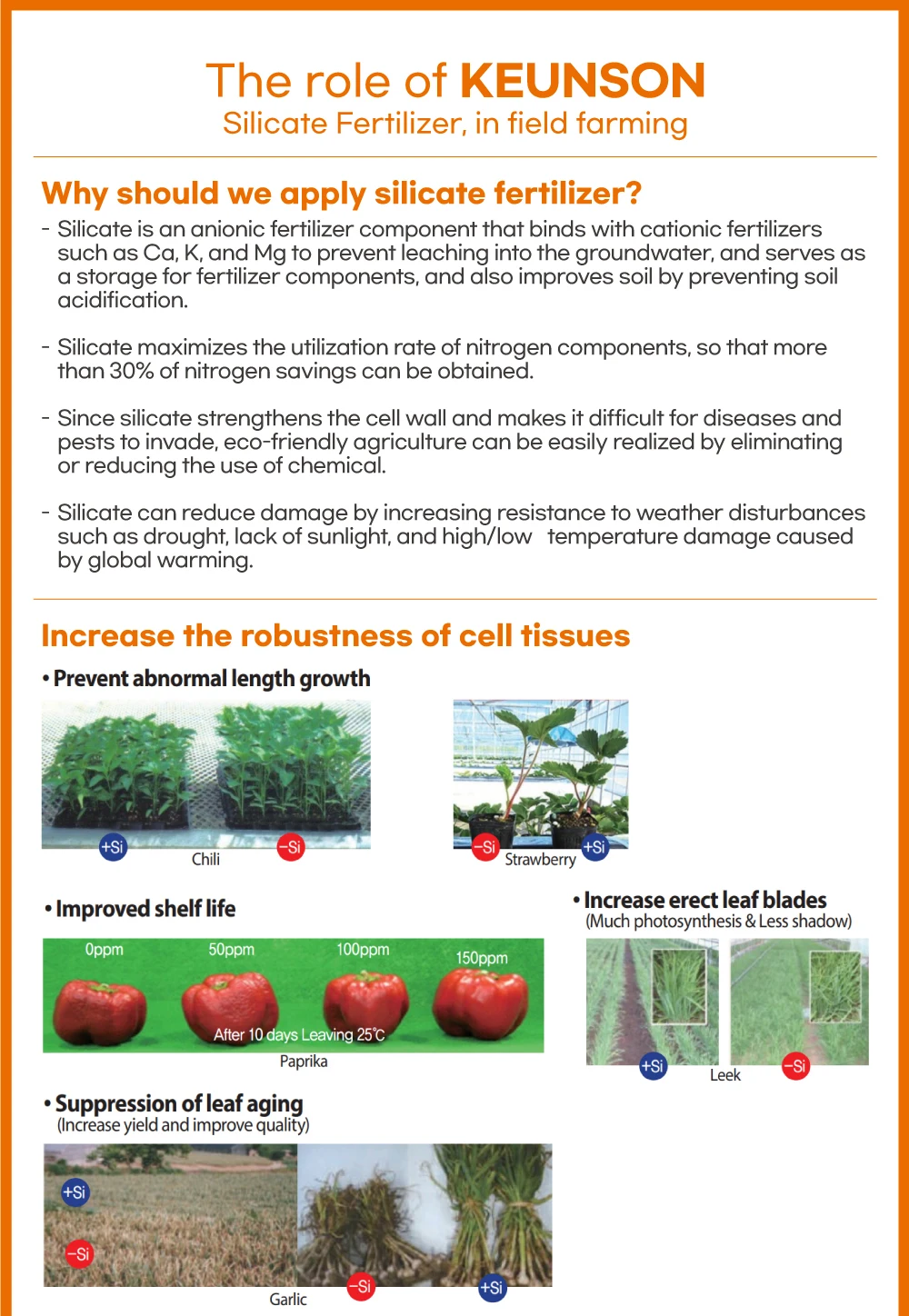 High Viscosity Silicate Coating Fertilizer To Improve Germination