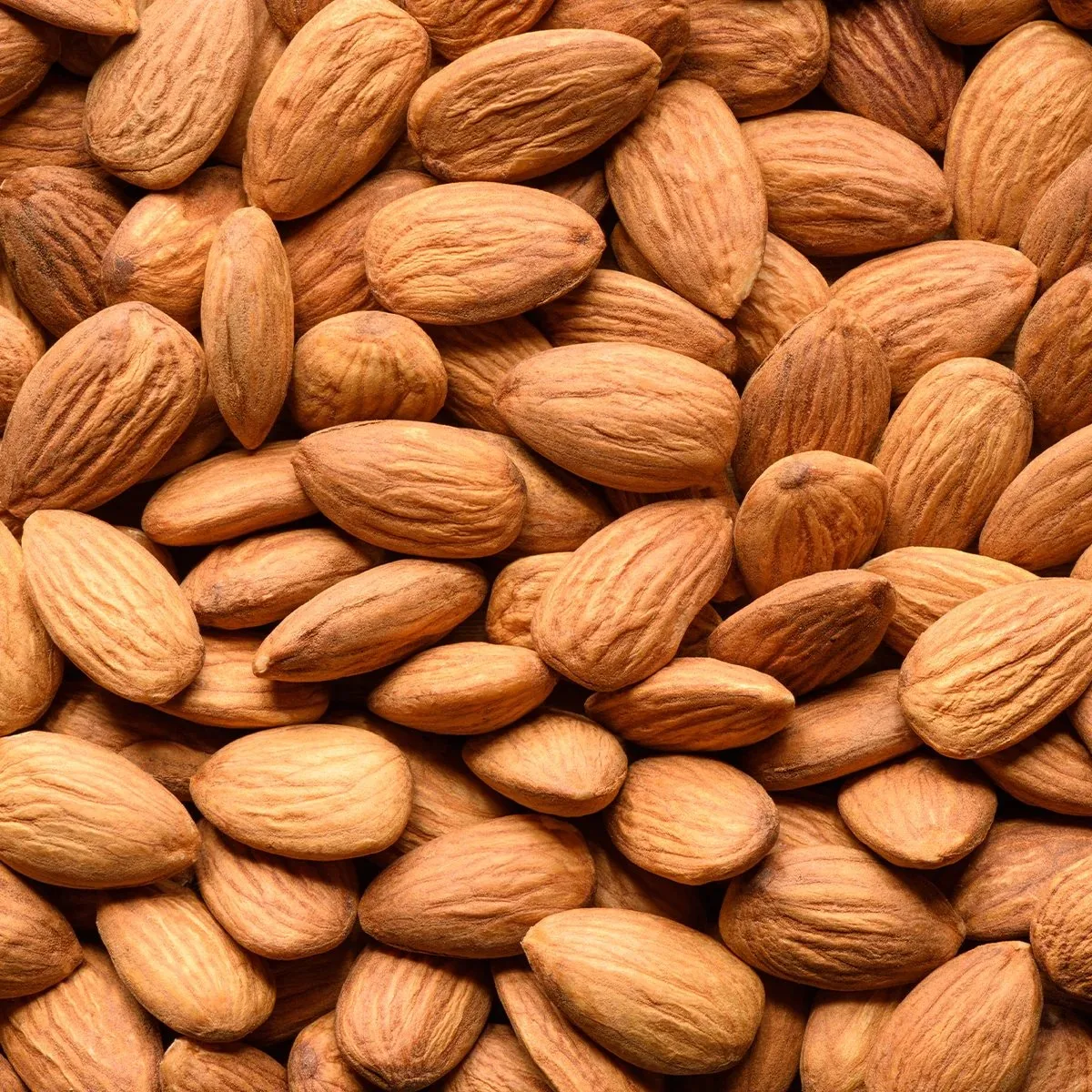 Bulk packaging almond nuts rich in vitamins protein and fiber perfect for bakeries snack industries food processing companies