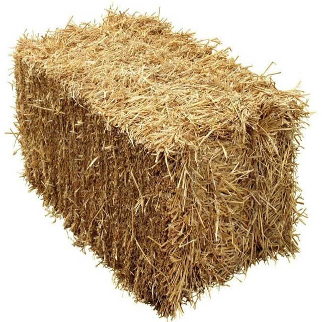 Fresh Alfalfa (lucerne) Hay/timothy Alfafa Hay/ Cheap Alfafa Hay For