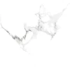 Light White