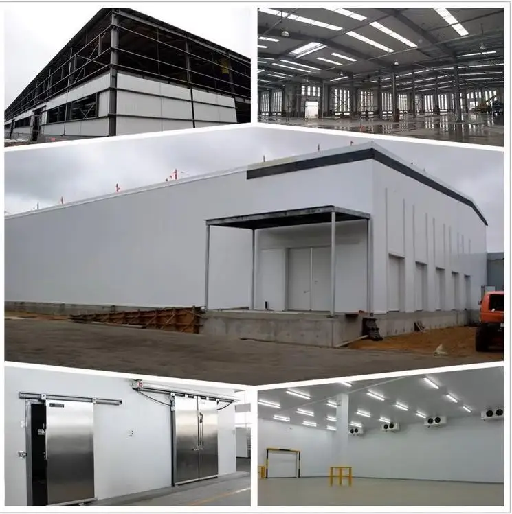 Complete turnkey cold storage and freezers including panels, doors and refrigeration equipment