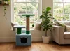 Blue&Green