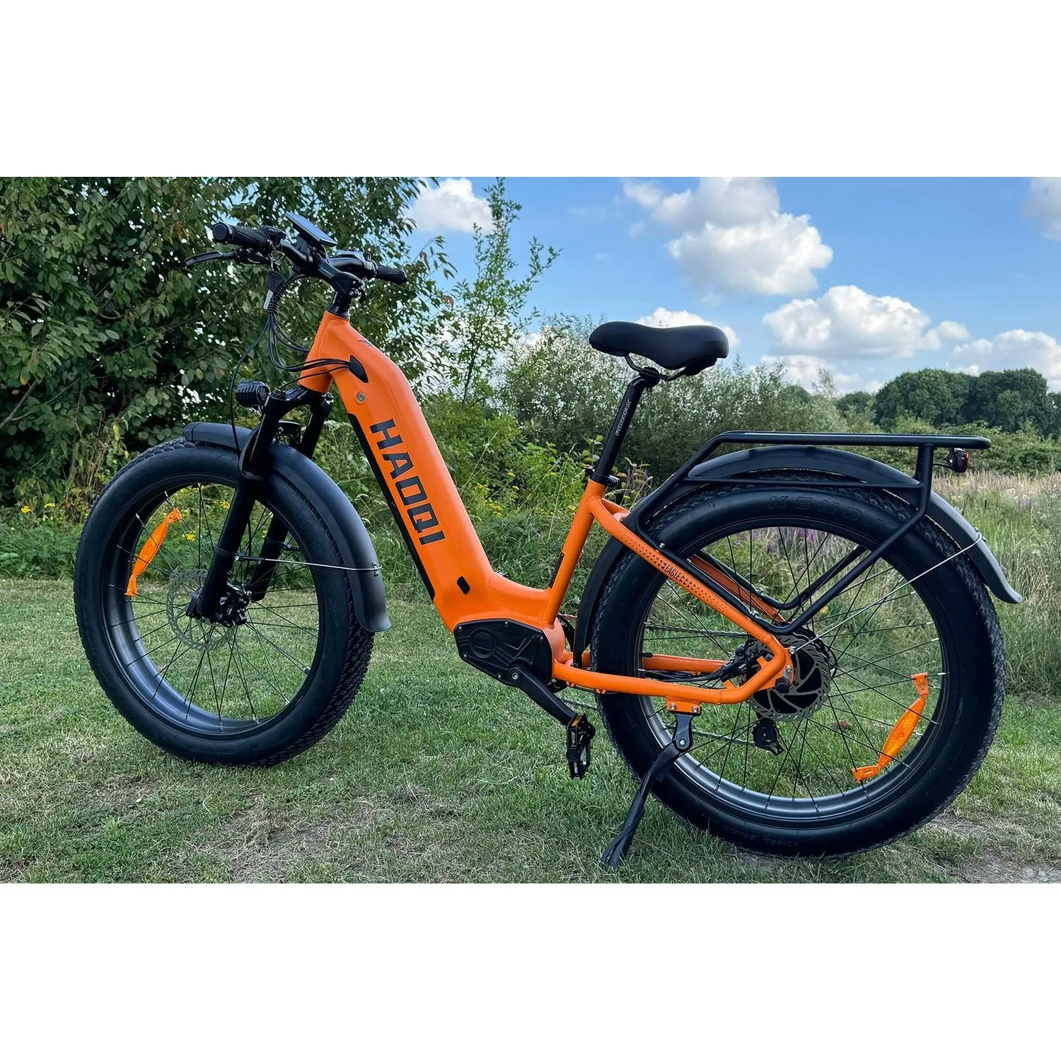 HAOQl All-Terrain 2.0 Electric Mountain Bike 250w Rear Hub Motor 48v Carbon Aluminum Frame 60km Range per Power Step Thru Eagle
