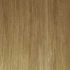 Golden Light Blonde