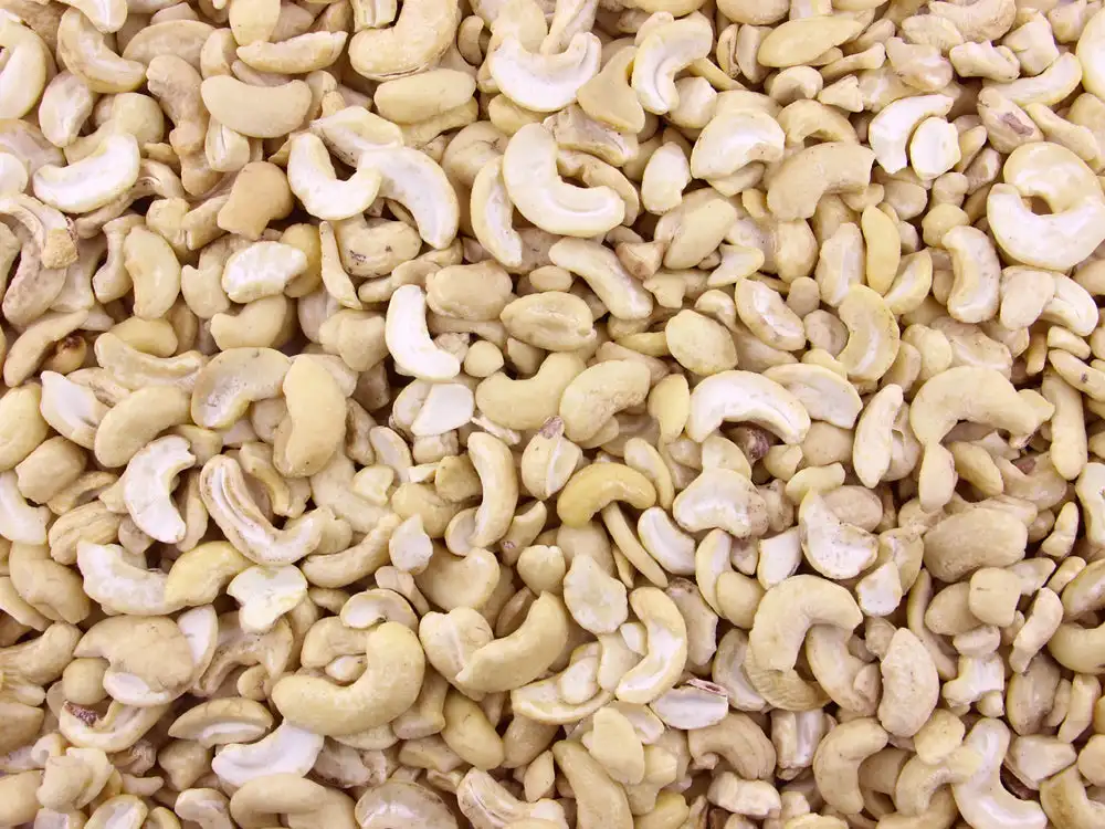 Quality W320 and W240 cashew nuts w320 w240