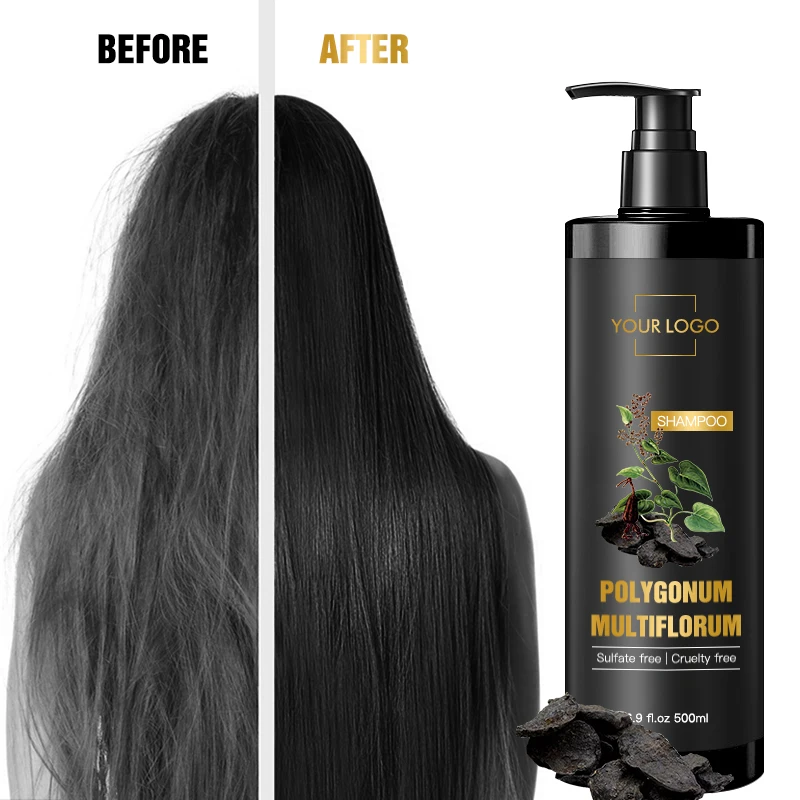 Производитель OEM частная марка аргановое масло шампунь без сульфатов эссенций полигон мультифлорум черный против выпадения