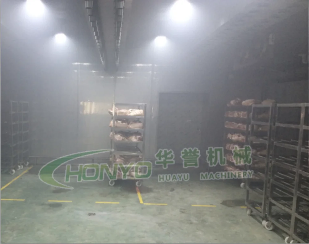 Circulating air system automatic low temperature meat thawing machine