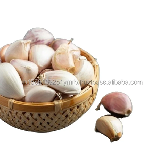 Fresh Vegetables White Garlic And Red Garlic In Bulk Price For Export