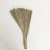 Natural