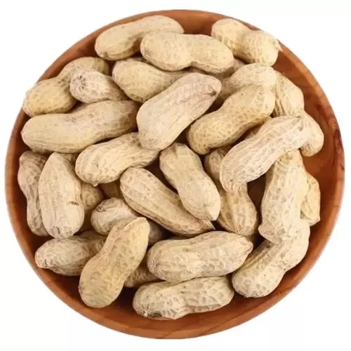 Whole Sale 100% Organic Arachis Peanut ,Dried Kernel Peanuts Groundnut Raw/Fresh Red Skin