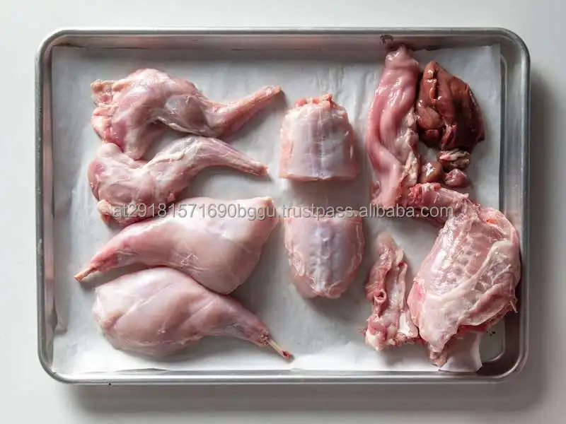Frozen Whole Rabbit Meat 100% Rabbit Meat / Frozen Rabbit Meat