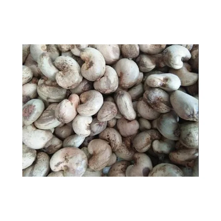 Cheap Price Kernel Organic Quality Cashews Nut Supplier Offers Benin Raw Cashew Nuts In Shell