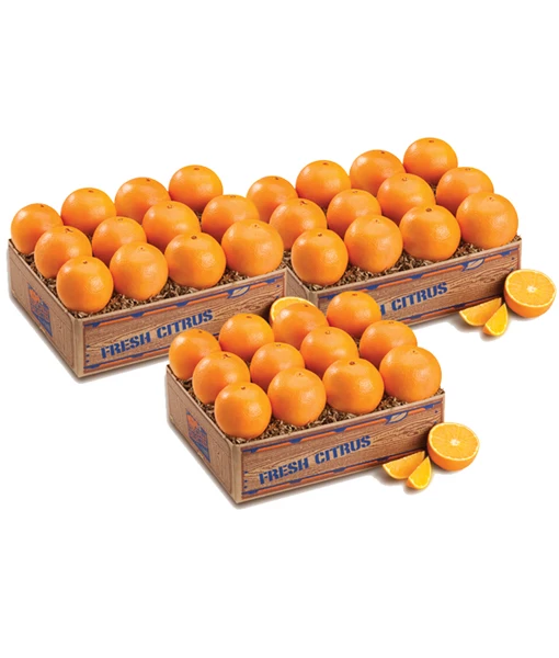 Fresh Oranges Fresh Premium Fresh Navel Oranges Buy Valencia Oranges