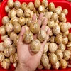 Picture Jasper