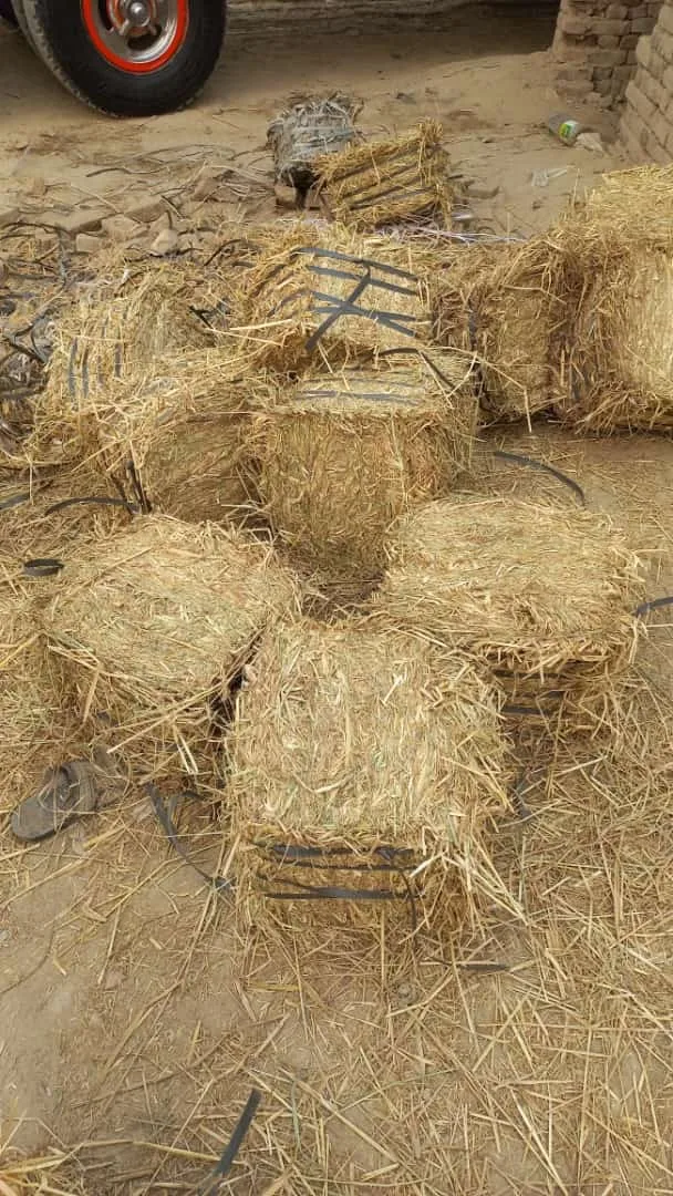 High Quality Pakistani Moisture Controlled Rice Straw For Sale In Bulk