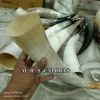 Cream Color
