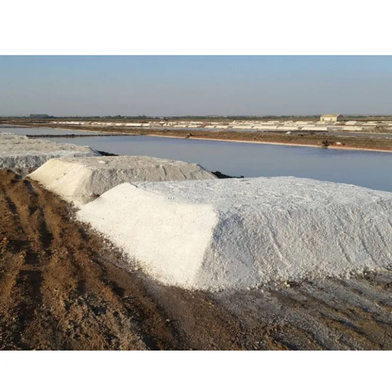 Best Selling Deicing Salt For Snowy Areas Fast Result Deicer Snow