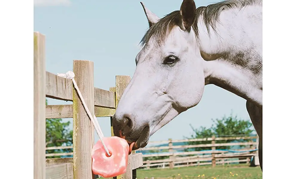 Animal Salt Licks / Himalayan Salt Lick Lumps/ Salt Licks For Cattle Buy Bulk Himalayan Salt