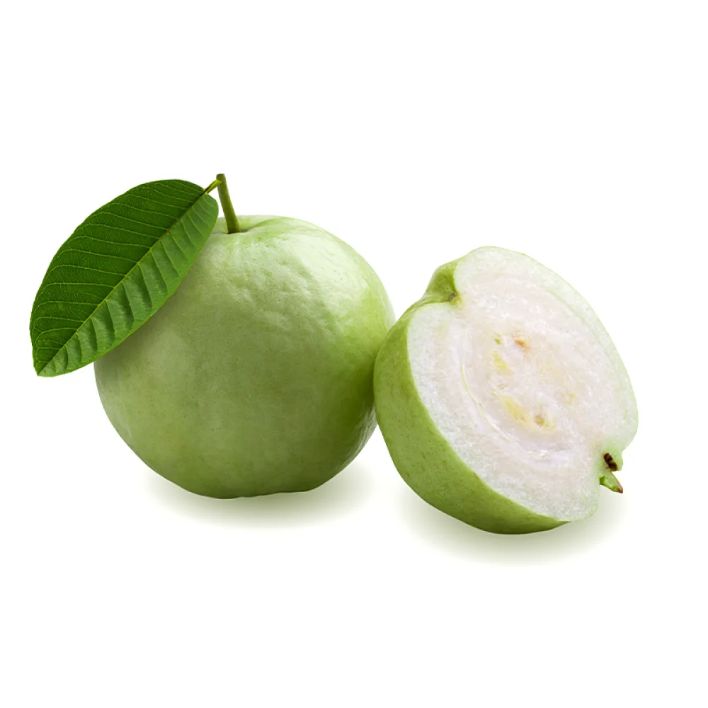 45 (1).png