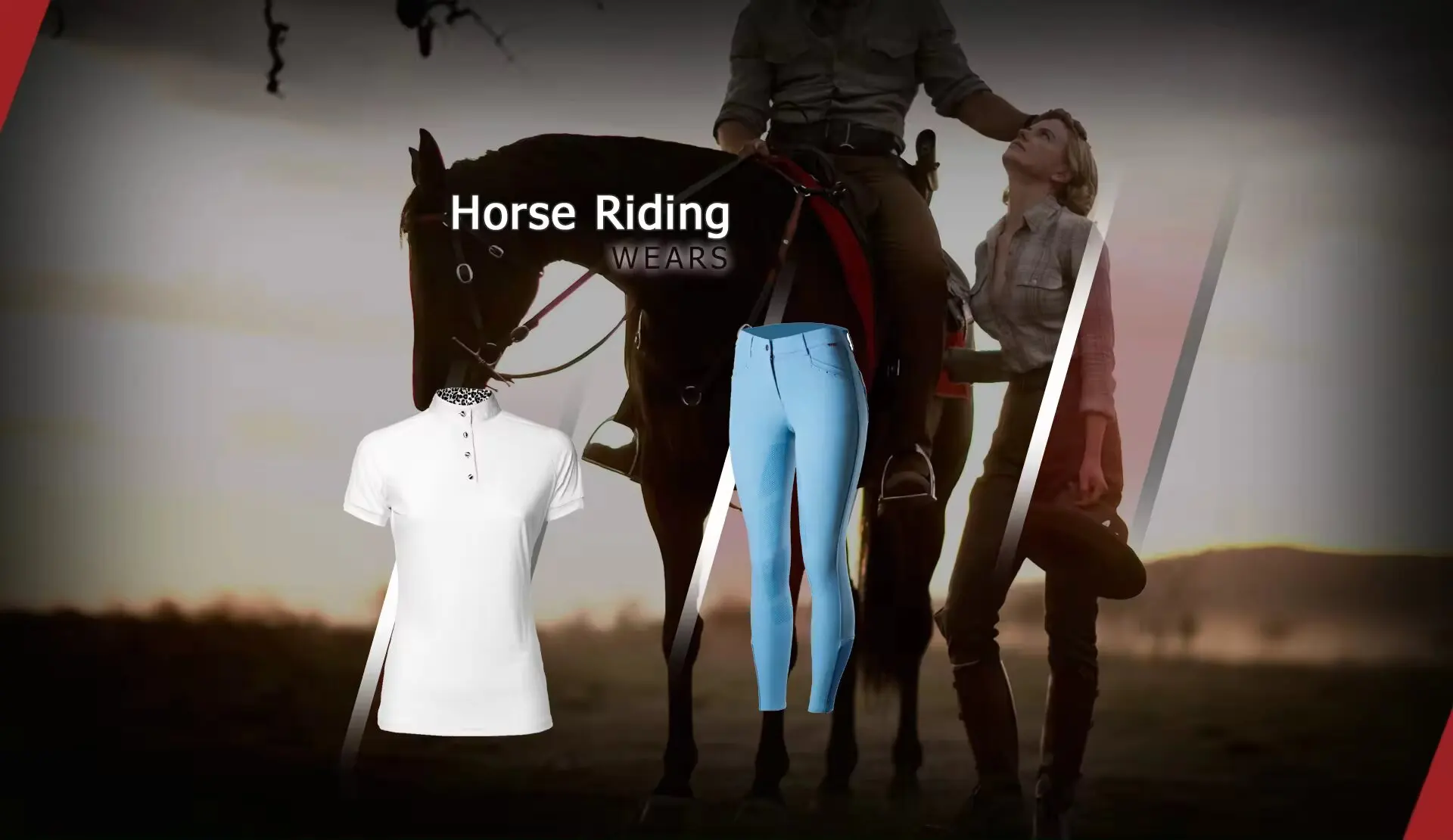 Latest Design Wholesale Horse Riding Leggings With Full Seat Equestrian