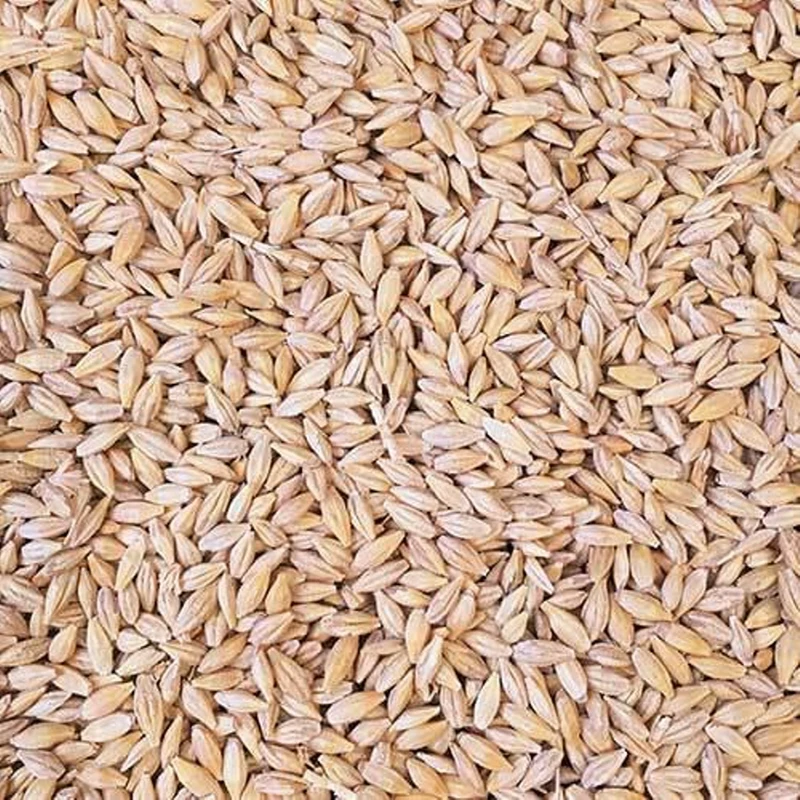 Сколько стоит ячмень. Пшеница 40 кг. Китайский ячмень. Зерно для животных. Ячмень для корма животным.
