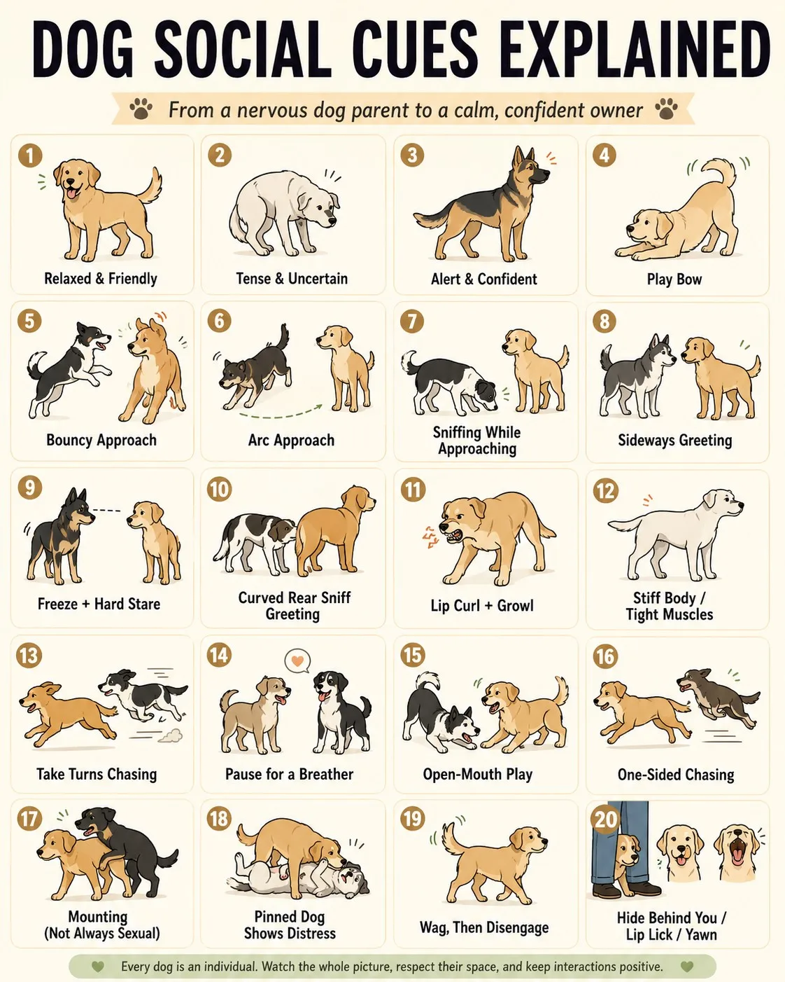 Dog Social Cues Explained Chart