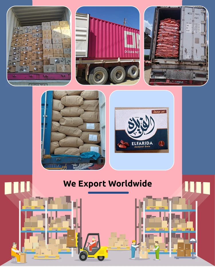 Leading Wholesaler Of Optimum Quality Frozen Potato Grain Snacks Finger