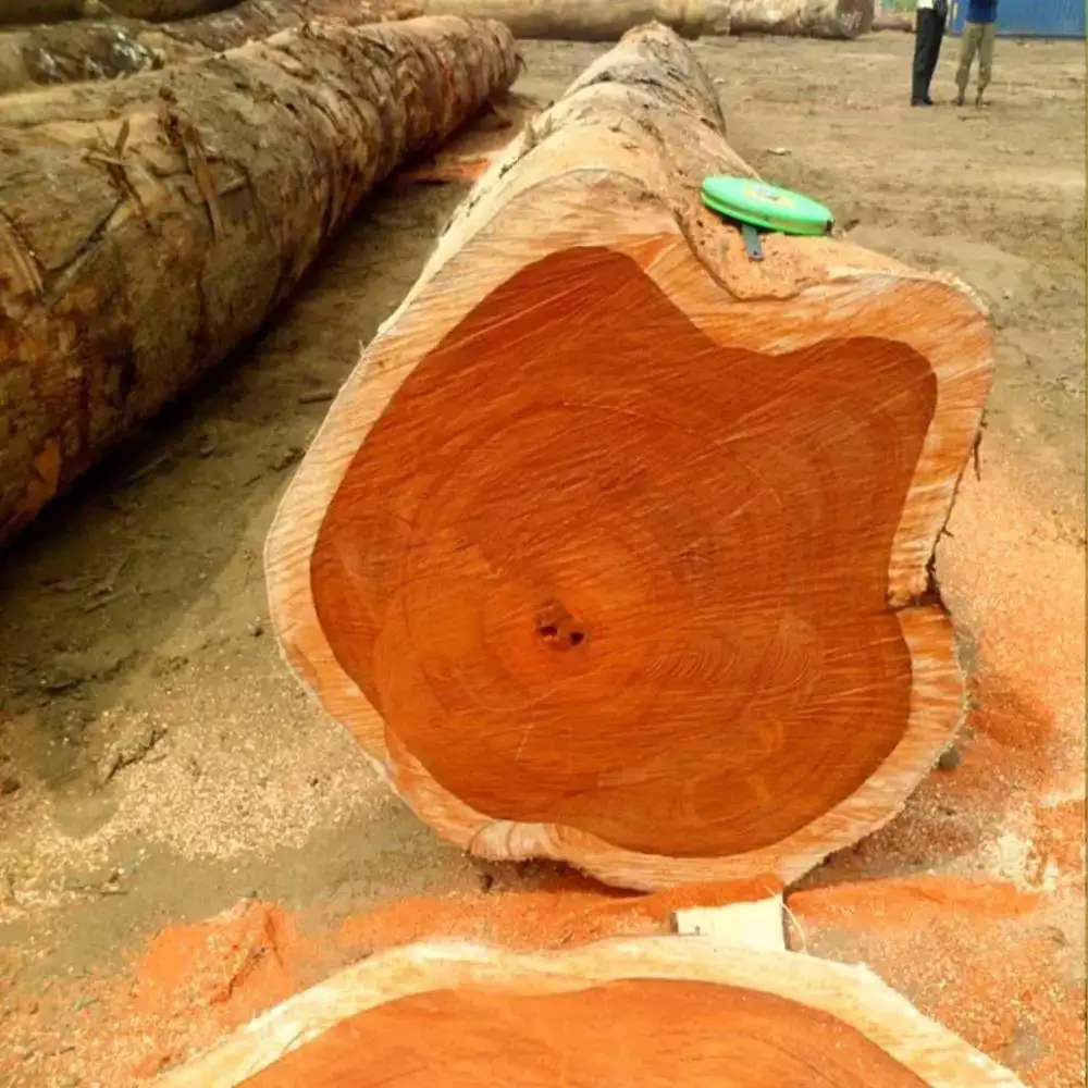 Тик — древесина тикового дерева