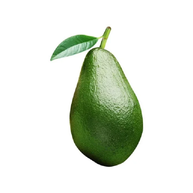 Direct From Producers! High Protein Premium Fresh Frozen Avocados From Vietnam Fuerte Top Grade GMO with Best Price Hot Sale