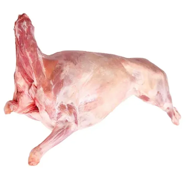 1 (2).png