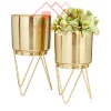 Antique Gold