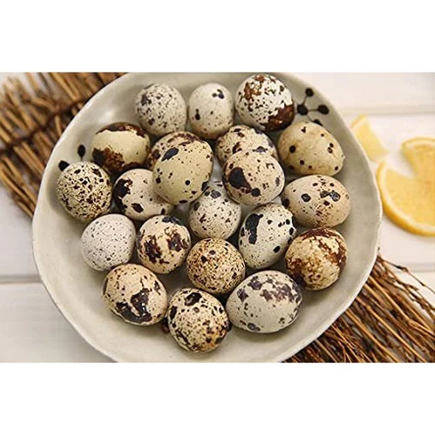 Best Selling Quality Brown Quail Eggs for Sale in Cheap