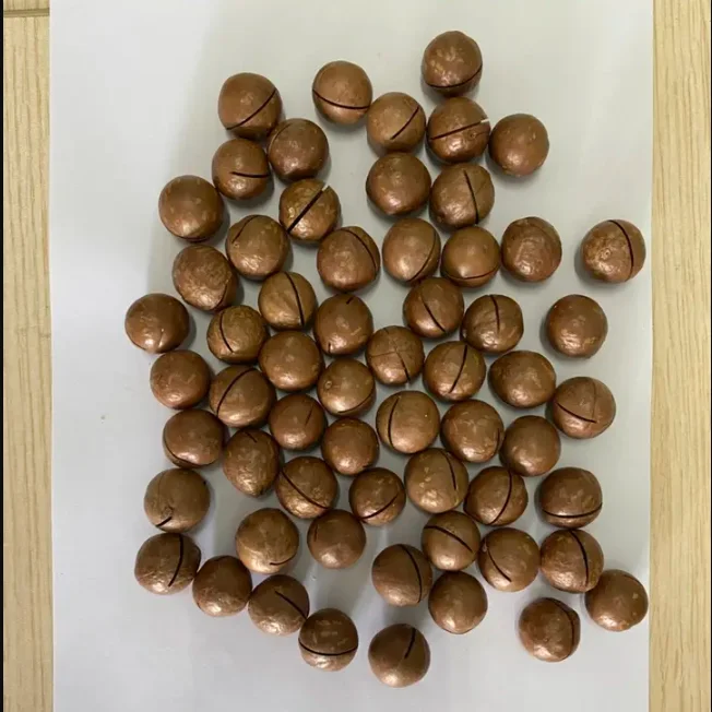 Raw Macadamia Nuts Dried Style for Sale