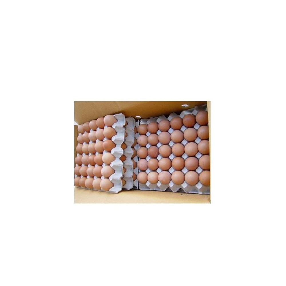 Broiler Hatching Eggs Ross 308 And Cobb 500 And Chicken Table Eggs