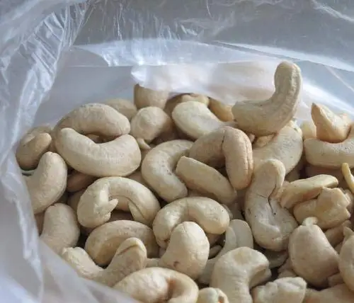 Organic Cashew Nuts/ Unshelled Cashew ,salted Cashew Kernel for international Export