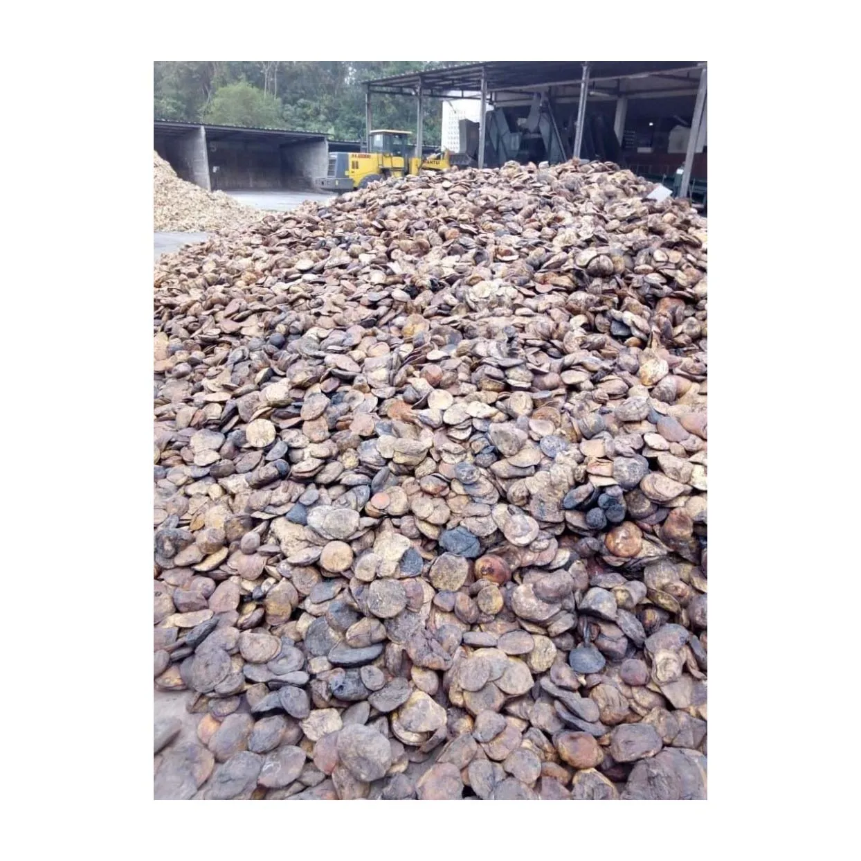 Premium Cup Lump Natural Rubber With 72 Dry Rubber Content Offered For