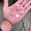 สีชมพู
