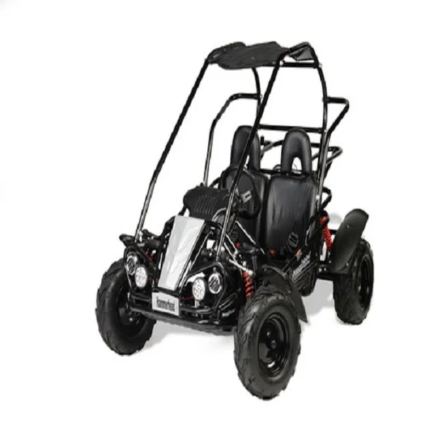 New Street Legal Dune Buggy Cheap Buggy 4x4 Price China Dune Buggy