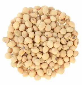 Wholesale Organic and High Quality Soybeans for Food for Cooking Dried and Healthy