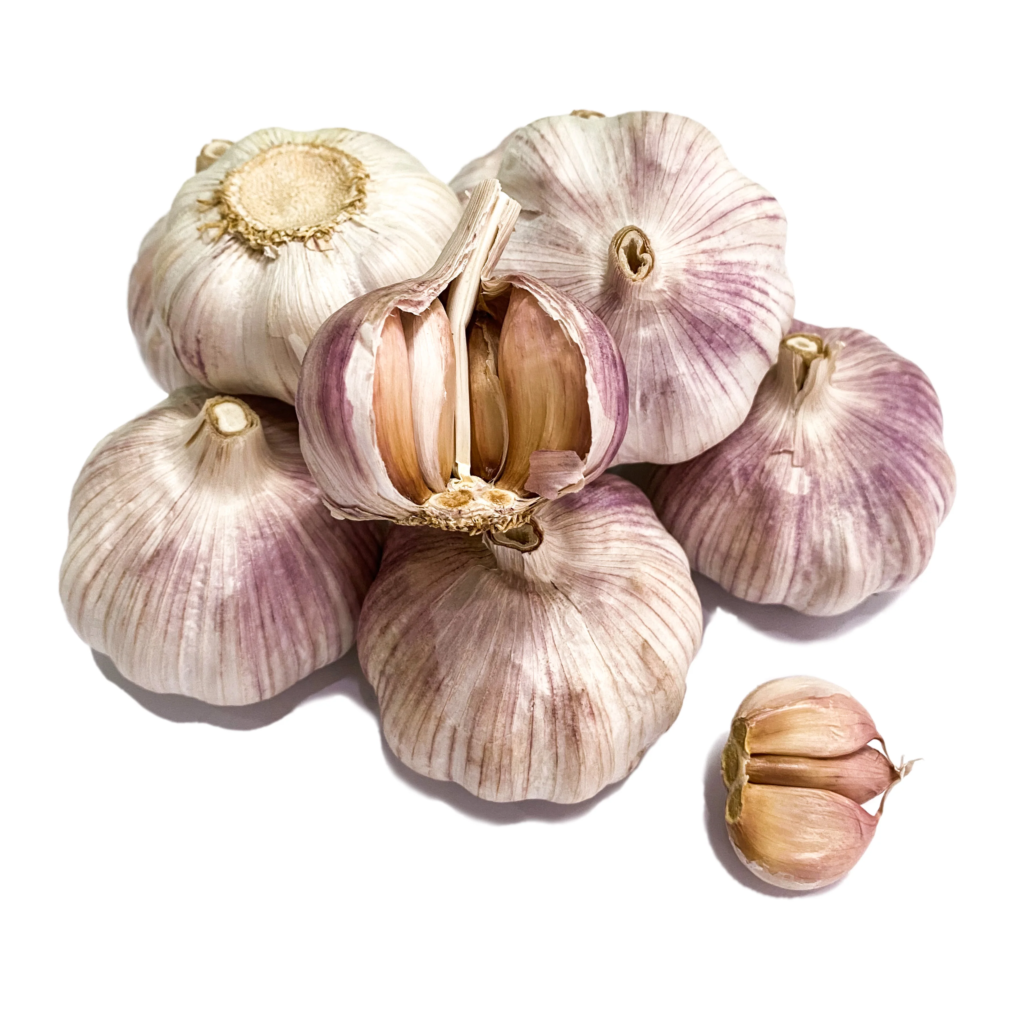 Best Wholesale Fresh White Garlic / High Quality Garlic New Crop Buy