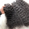 Burmese Curly Blonde